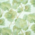 SHADOW GROVE Green Tea