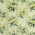 ROSEMOOR Citron