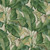 AMONG FRONDS-PRM Aloe