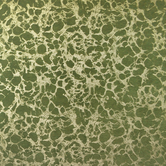 CARO Lichen