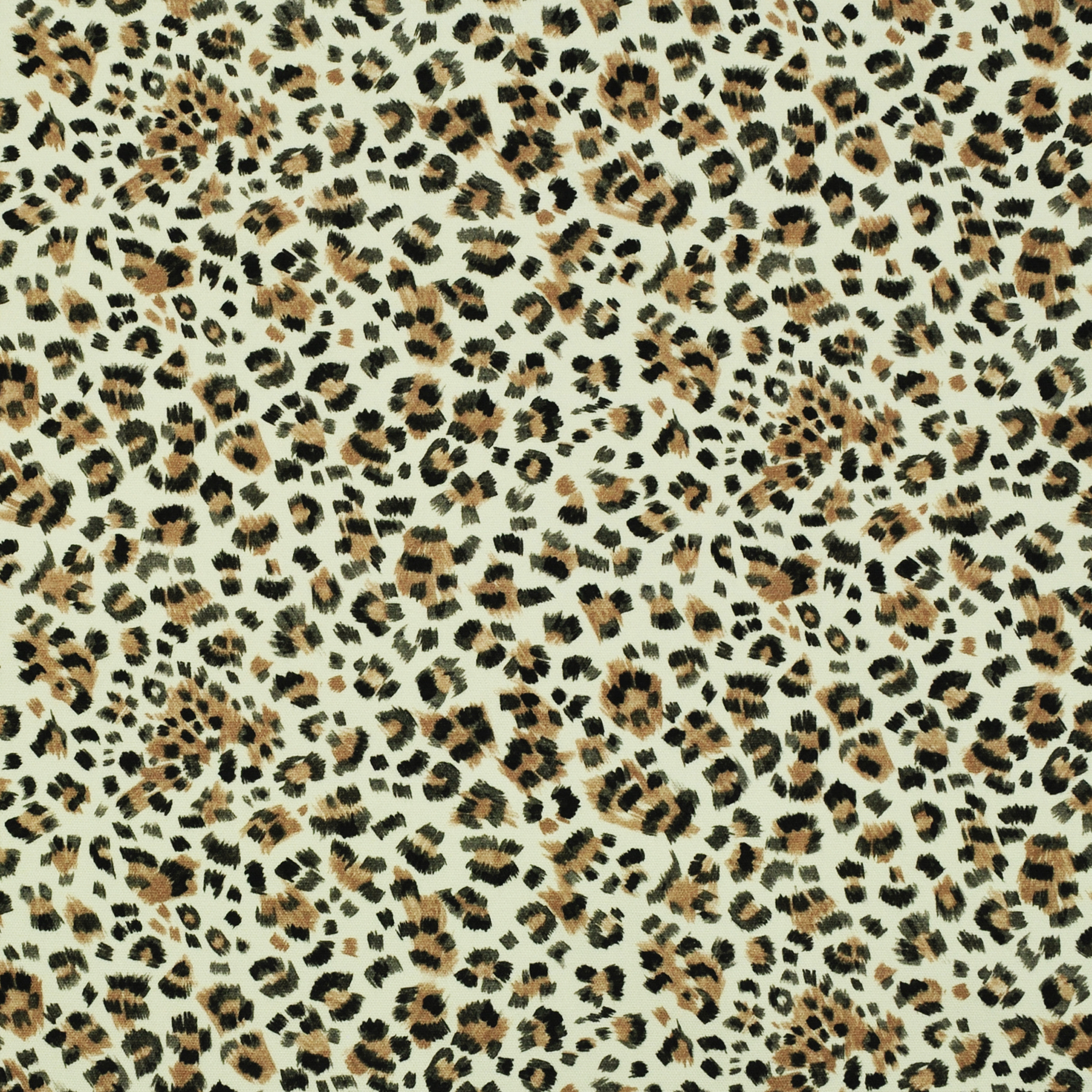 FELINE Leopard - P/Kaufmann
