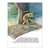 Bible Big Books: David and Prince Jonathan