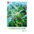 DIG IN, The Bible in One Year Preschool and Elementary Bible Point Posters: Quarter 1