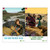 DIG IN, The Bible in One Year Preschool and Elementary Bible Posters: Quarter 2 - Download