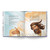 Friends With God Story Bible