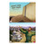 Simply Loved Bible Story Posters - Quarter 3