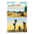 Simply Loved Bible Story Poster Pack - Quarter 4