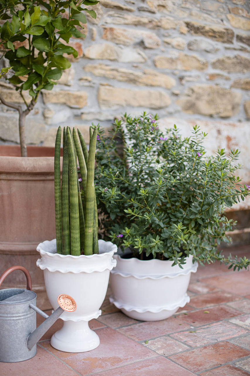 Vietri Rustic Garden Ruffle Cachepot - Thumbnail 5