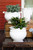 Rustic Garden Linen Tall Planter with Vines

RGA-7787L
10.5"D, 12.5"H

Inspired by the Italians' love for the outdoors and urn designs from the antiquity, Vietri's Rustic Garden planters from plumpuddingkitchen.com are a beautiful accent to any indoor or outdoor space.