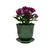 Juliska Veronica Beard Jardins Du Monde Planter 7 in - Green

JM137/G

Subtly detailed in our romantic Gardens of the World motif in an exclusive green glaze, this 7.5" planter is designed with drainage so that whatever flights of flora fancy you desire can thrive beautifully in your home. We adore ours filled with orchids on the desktop, dainty chamomile flowers in the kitchen window for fresh tea or as a thoughtful gift for a hostess or friend.

Measurements: 7.25"W x 7.0"H x 7.25"L

Made in: Portugal

Made of: Ceramic