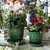 Juliska Veronica Beard Jardins Du Monde Planter 5 in - Green

JM136/G

Subtly detailed in our romantic Gardens of the World motif in an exclusive green glaze, this pretty 5.5 inch pot is designed with drainage so that whatever flights of flora fancy you desire can thrive beautifully in your home. We adore ours filled with orchids on the desktop, dainty chamomile flowers in the kitchen window for fresh tea or as a thoughtful gift for a hostess or friend.

Measurements: 5.5"W x 5.25"H x 5.5"L

Made in: Portugal

Made of: Ceramic