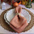 Juliska Berry Trim Napkin Persimmon Set/4

LB92/81
22" Sq

Add a lovely layer of understated adornment to the table with these beautiful linen napkins of woven cotton that are trimmed with a border of tiny, embroidered knotting for subtle embellishment. Offered in fun and fabulous colors of flint, saffron, persimmon and watercress.

Machine wash cold, gentle cycle. Tumble dry low, warm iron as needed