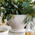 Filled with flowers, herbs, or evergreens, this cachepot is designed for all occasions and all seasons -- you’ll want one (or better yet, a pair!) on hand for a fresh infusion of natural beauty to grace your tabletop, entryway, mantel or nook. Done in our elegant and enchanting woodgrain motif in a peaceful palette of creams and warm browns with our signature whitewash glaze and a warm patina, to easily mix and match with other patterns and collections.

Measurements: 9.0"L x 9.0"W x 7.0"H

Made in: Portugal

Made of: Ceramic

Volume: 160.0 Oz.

Volume: 5.0 Qt.
