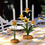Juliska Meadow Walk Daffodil 14" Centerpiece Candelabra - Yellow

TDM01/62
10.5"L, 5"W, 14"H

Spring is permanently sprung with this delightful Daffodil Centerpiece Candelabra that brings sophistication and joy to any tablescape. Made of intricately hand-painted metal in sunshine yellows, fresh greens and whites, upon a bright gold base that’s trimmed with our iconic Berry & Thread motif.

Metal.  Clean with damp cloth.