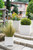 Vietri Rustic Garden Turquoiuse Tall Planter

RGA-6190T
13"Sq, 20.5"H

In a wide range of colors, shapes, and sizes, the Rustic Garden collection is inspired by the ceramics found in the gardens of Tuscan villas. Each Rustic Garden piece from plumpuddingkitchen.com brims with spectacular craftsmanship and nuanced detail, bringing a beautiful, organic patina to your home and garden.
