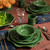 Juliska Berry & Thread Scalloped Charger/Platter - Basil

JCSX/29
13.5"D

Featuring an elegant scalloped edge trimmed with Juliska's Berry & Thread motif, this classic foundation piece from plumpuddingkitchen.com beautifully frames your place setting and doubles as an abundant dinner plate or serving platter. Designed for layering and with versatility in mind, this charger is perfect for formal holiday entertaining to casual family gatherings year-round.