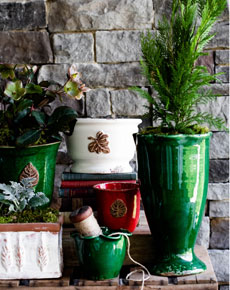 vietri-rustic-garden-but.jpg vietri-rustic-garden-but.jpg