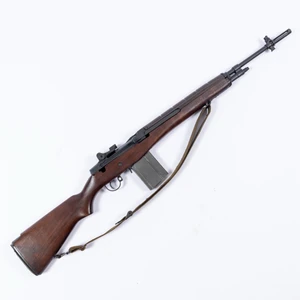 Springfield Armory M1A