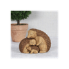 Hedgehog Family Ornament