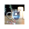 Clear Double Walled Glass Cauldron Mug