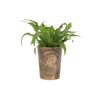 Moon Gazing Hare  Bronze Terracotta Plant Pot by Lisa Parker
