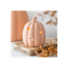 9cm Terracotta Pumpkin Tealight Holder