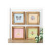 Set of 4 Floral Bug Framed Wall Art Prints