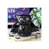 Cute and Creepy Bat Cat Mug