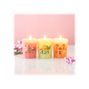 Scents Around the World Scented Candle Trio