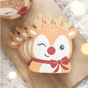 Ruby the Reindeer Coaster Set
