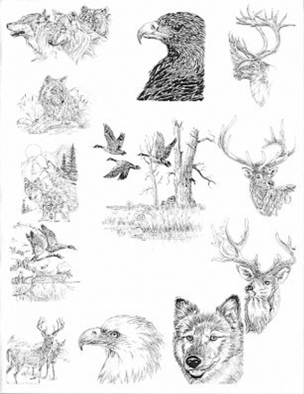 Wildlife PEN and INK Drawings