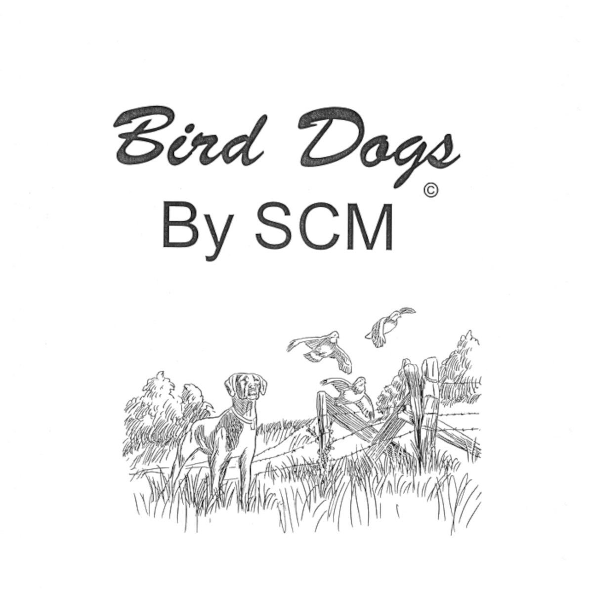 Bird Dog Designs