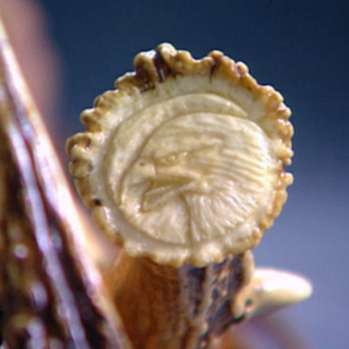 Bone and Antler Engraving Training - SCM Systems
