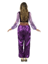 Arabian Princess Costume, Purple