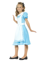 Wonderland Princess Costume, Blue