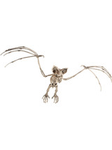 Bat Skeleton Prop, Natural