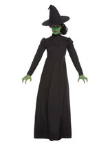 Wicked Witch Costume, Black, Adult