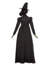 Wicked Witch Costume, Black, Adult