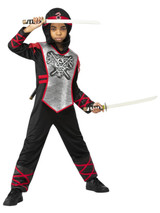 Deluxe Dragon Ninja Costume