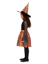 Vintage Witch Costume, Orange