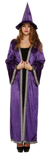 Ladies Purple Sorceress Fancy Dress Costume