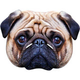 Adult Pug Fancy Dress Face Mask