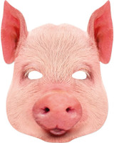 Adult Pig Fancy Dress Face Mask