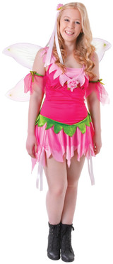 Teen Girls Spring Fairy Fancy Dress Costume