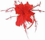 Ladies Red Rose Feather Hairband