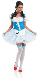 Ladies Dorothy Fancy Dress Costume 2