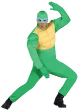 Mens Turtle Fancy Dress Costume