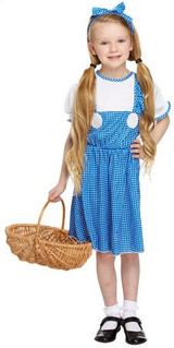 Girls Dorothy Fancy Dress Costume 3