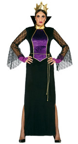 Ladies Mirror Queen Costume