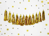 Gold DIY Tassel Garland Banner